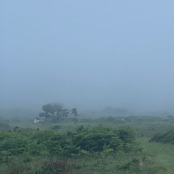 Meet your Posher, Claire - Picture 1 of 1